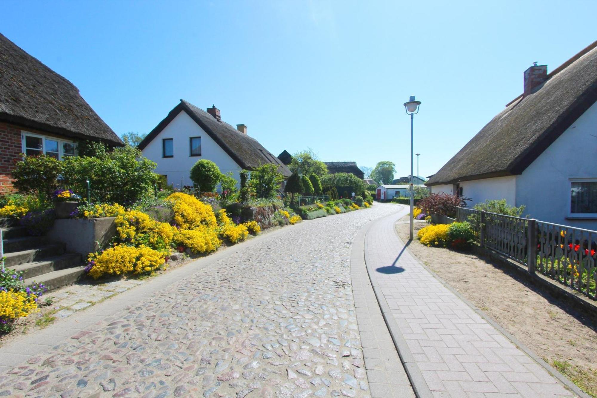 Ferienhaus Distelfink Fewo 04 Terrasse, Meerblick Gross Zicker Exterior photo